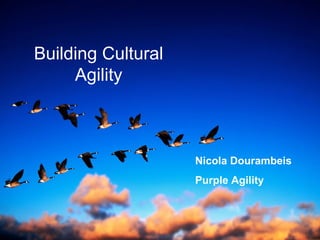 Building Cultural
Agility
Nicola Dourambeis
Purple Agility
 