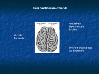 Cum functioneaza creierul? Verbala Rationala  Nonverbala  Experimentala Emotiva Emisfera dreapta este  cea directoare 