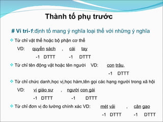   # Vi trí- 1 :định tố mang ý nghĩa loại thể với những ý nghĩa Từ chỉ vật thể hoặc bộ phận cơ thể VD:  quyển   sách   ,  cái   tay   -1  DTTT  -1  DTTT Từ chỉ tên động vật hoặc tên người  VD:  con   trâu , -1  DTTT Từ chỉ chức danh,học vị,học hàm,tên gọi các hạng người trong xã hội VD:  vị   giáo sư   ,  người   con gái   -1  DTTT  -1  DTTT Từ chỉ đơn vị đo lường chính xác VD:  mét   vải   ,  cân   gạo   -1  DTTT   -1  DTTT Thành tố phụ trước 