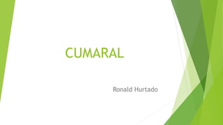 CUMARAL
Ronald Hurtado
 