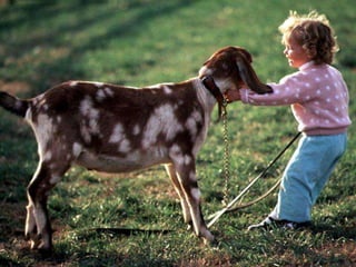 Con un conocimiento más profundo y una acción más prudente, se pueden conseguir unas condiciones de vida mejores en un medio más en consonancia con las necesidades y aspiraciones de vida del hombre. La defensa y el mejoramiento del medio ambiente humano para las generaciones presentes y futuras se han convertido en meta imperiosa de la humanidad.28/03/2011HOMBRE, NATURALEZA Y SOCIEDAD13