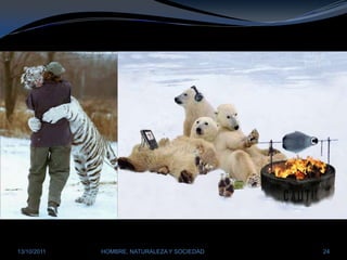 28/03/2011HOMBRE, NATURALEZA Y SOCIEDAD24