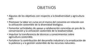 OBJETIVOS 
• Algunos de los objetivos con respecto a la biodiversidad y agricultura 
son: 
• Promover la labor en curso en el marco del convenio en relación con 
la utilización sostenible de la diversidad biológica. 
• Fomentar actividades de apoyo y colaboración concretas en pro de la 
conservación y la utilización sostenible de la biodiversidad. 
• Impulsar la transferencia de técnicas y conocimientos sobre 
agricultura sostenible. 
• Fortalecer la contribución del desarrollo industrial a la erradicación de 
la pobreza y a la gestión sostenible de los recursos naturales. 
 