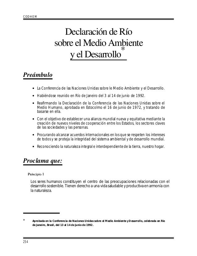 Principios de la Declaración de Río