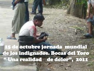 15 de octubre jornada  mundial de los indignados. Bocasdel Toro  “ Una realidad    de dolor”,  2011 