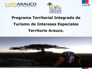 Programa Territorial Integrado de 
Turismo de Intereses Especiales 
Territorio Arauco. 
 