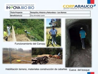 Cueva del bosque 
Título Proyecto Ranquilco, Historia y Naturaleza – Los Alamos 
Beneficiario (s) Elso Arnoldo Levin 
Funcionamiento del Canopy 
Habilitación terreno, materiales construcción de cabañas 
 