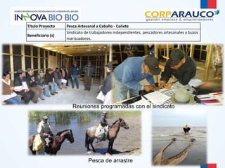Título Proyecto Pesca Artesanal a Caballo - Cañete 
Reuniones programadas con el sindicato 
Pesca de arrastre 
Beneficiario (s) 
Sindicato de trabajadores independientes, pescadores artesanales y buzos 
mariscadores. 
 