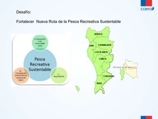 Desafío: 
Fortalecer Nueva Ruta de la Pesca Recreativa Sustentable 
 