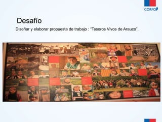Desafío 
Diseñar y elaborar propuesta de trabajo : “Tesoros Vivos de Arauco”. 
 