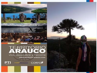 Gobierno de Chile | Corporación de Fomento de la Producción - CORFO 
27 
