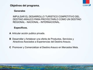 4 
Objetivos del programa. 
Generales 
IMPULSAR EL DESARROLLO TURISTICO COMPETITIVO DEL 
DESTINO ARAUCO PARA PROYECTARLO COMO UN DESTINO 
REGIONAL - NACIONAL - INTERNACIONAL. 
Específicos. 
A Articular acción publico privada. 
B Desarrollar y fortalecer una oferta de Productos, Servicios y 
Atractivos Asociados a Experiencias del Destino Arauco. 
C Promover y Comercializar el Destino Arauco en Mercados Meta. 
 