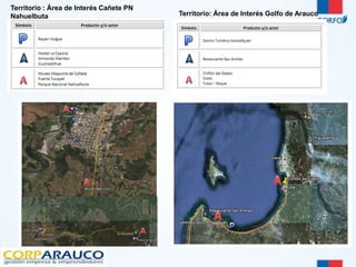 Territorio : Área de Interés Cañete PN 
Nahuelbuta Territorio: Área de Interés Golfo de Arauco 
 