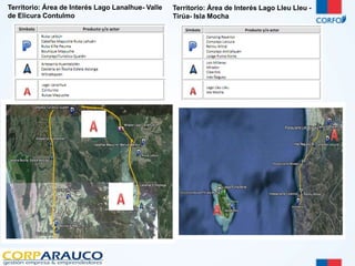 Territorio: Área de Interés Lago Lanalhue- Valle 
de Elicura Contulmo 
Territorio: Área de Interés Lago Lleu Lleu - 
Tirúa- Isla Mocha 
 