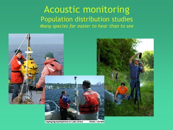 Acoustic Monitoring Assoc for Env Studies 2009