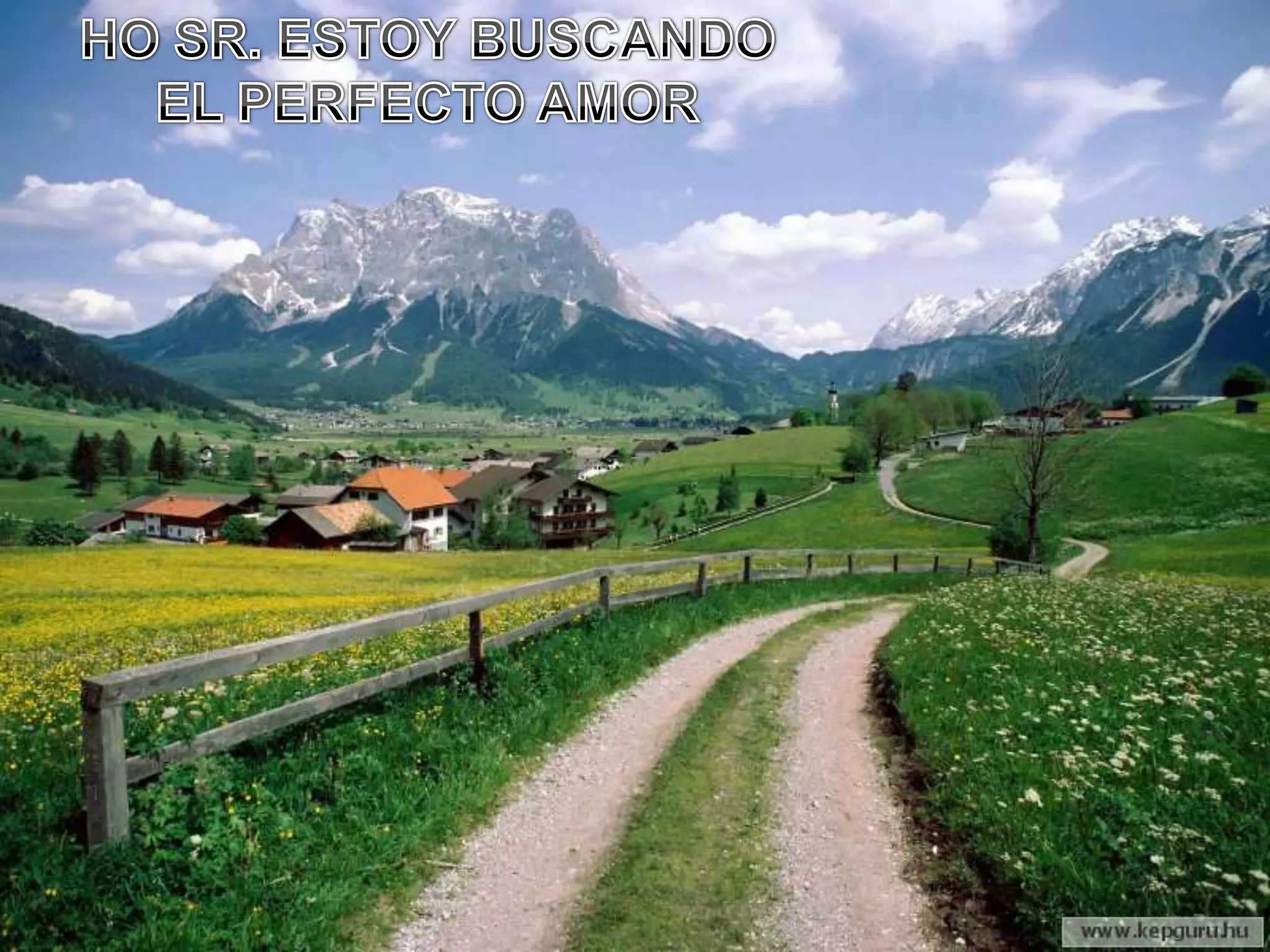 HO SR. ESTOY BUSCANDO EL PERFECTO AMOR