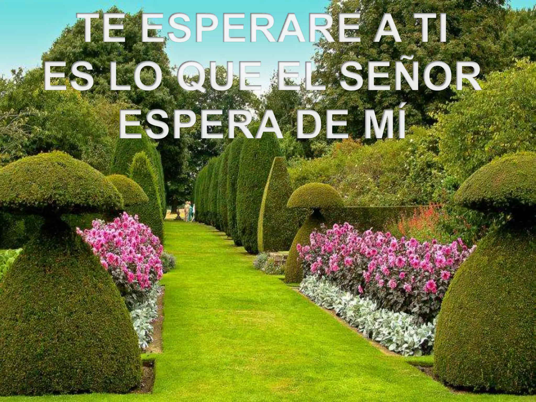 TE ESPERARE A TIES LO QUE EL SEÑORESPERA DE MÍ