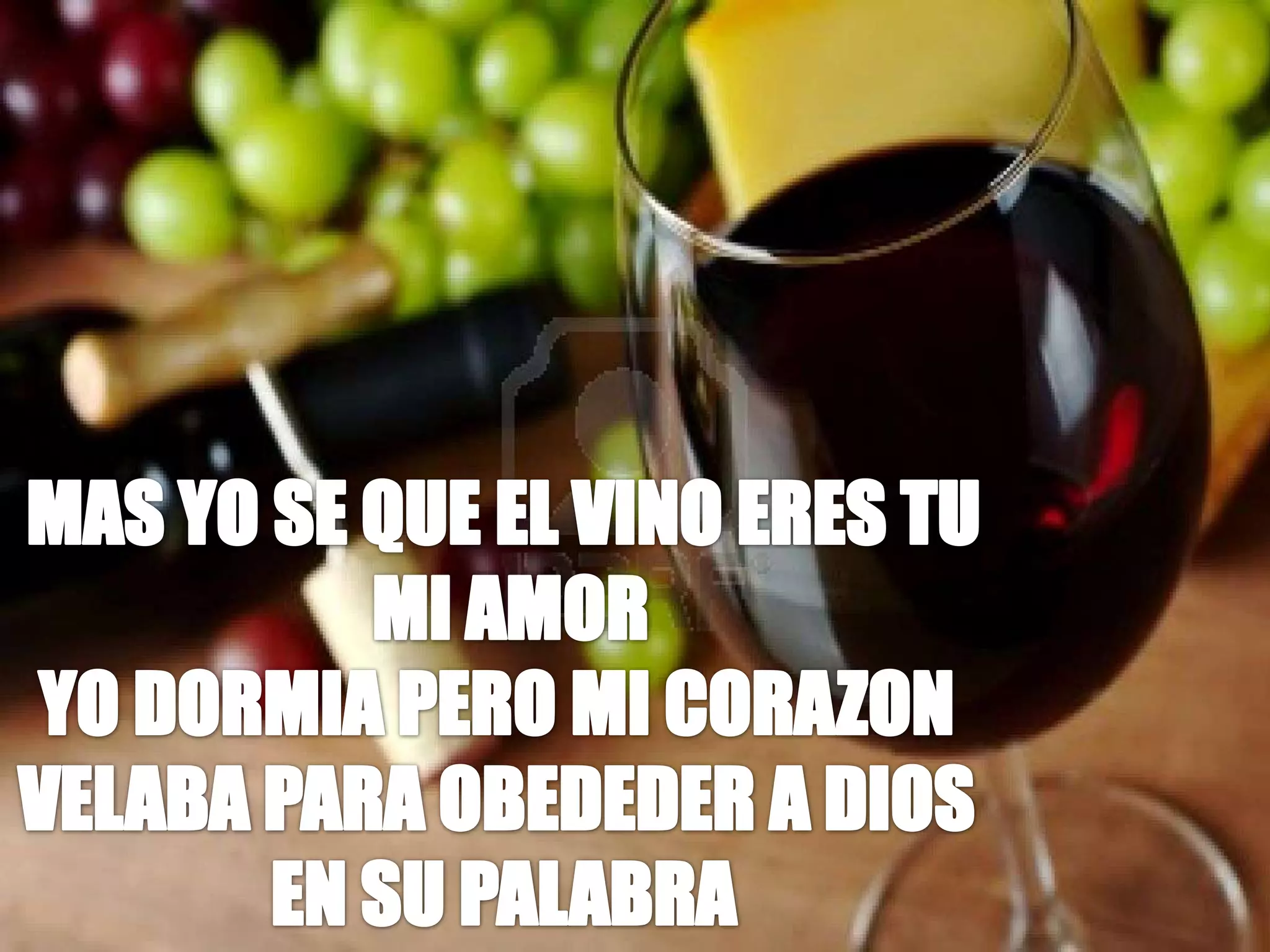 MAS YO SE QUE EL VINO ERES TU MI AMORYO DORMIA PERO MI CORAZON VELABA PARA OBEDEDER A DIOS EN SU PALABRA