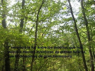 Y veremos la luz entre los árboles, que nos guiará a nuevas aventuras de etapas futuras, que te deseamos de gran hermosura. 