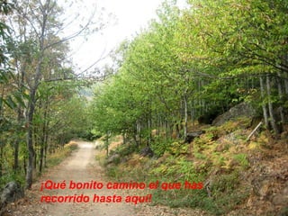 ¡Qué bonito camino el que has recorrido hasta aquí! 