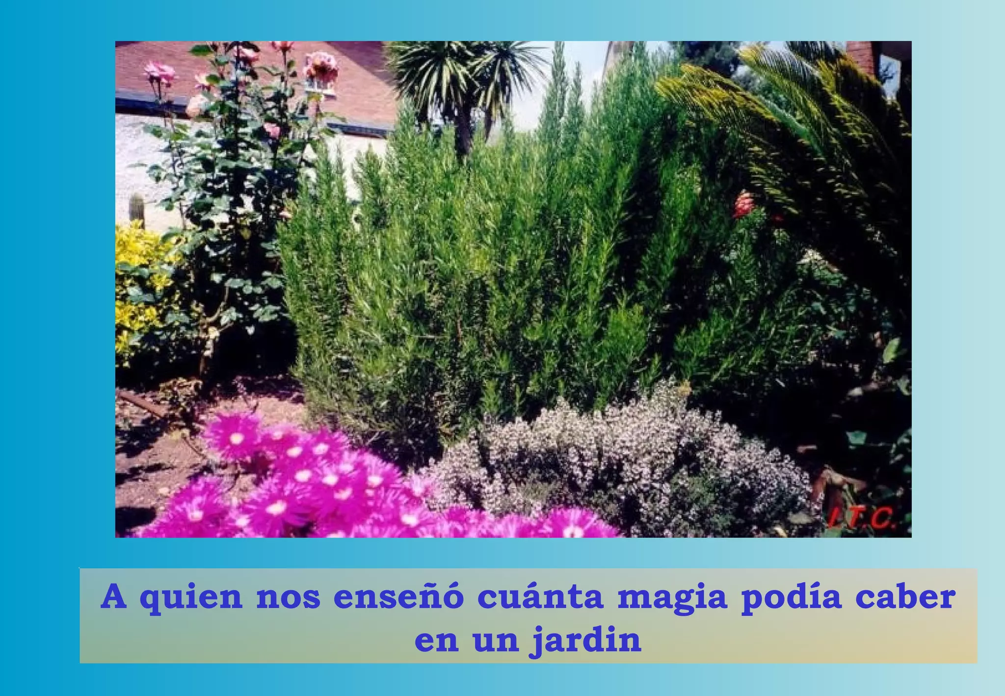 A quien nos enseñó cuánta magia podía caber en un jardin