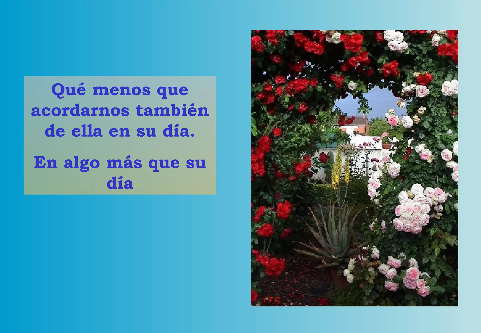 Qué menos que acordarnos también de ella en su día. En algo más que su día