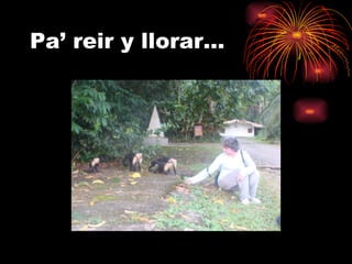 Pa’ reir y llorar… 