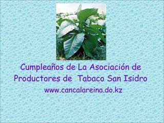 Cumpleaños de La Asociación de Productores de  Tabaco San Isidro www.cancalareina.do.kz 