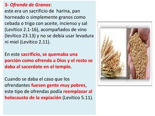 3- Ofrenda de Granos:
este era un sacrificio de harina, pan
horneado o simplemente granos como
cebada o trigo con aceite, incienso y sal
(Levítico 2.1-16), acompañados de vino
(levítico 23.13) y no se debía usar levadura
ni miel (Levítico 2.11).
En este sacrificio, se quemaba una
porción como ofrenda a Dios y el resto se
daba al sacerdote en el templo.
Cuando se daba el caso que los
ofrendantes fuesen gente muy pobres,
este tipo de ofrendas podía reemplazar al
holocausto de la expiación (Levítico 5.11).
 