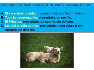 LOS TIPOS DE OFRENDAS QUE SE PRESENTABAN A DIOS
A. El sacerdote ungido, presentaba un novillo sin defecto
B. Toda la congregación, presentaba un novillo.
C. El Príncipe, presentaba un cabrito sin defecto.
D. Los del pueblo común, presentaban una cabra o una
cordera sin defecto.
 