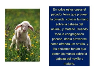 En todos estos casos el
pecador tenia que proveer
la ofrenda, colocar la mano
sobre la cabeza del
animal, y matarlo. Cuando
toda la congregación
pecaba, debía proveerse
como ofrenda um novillo, y
los ancianos tenían que
poner las manos sobre la
cabeza del novillo y
matarlo.
 