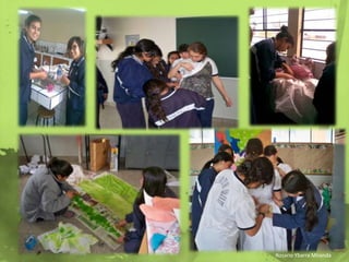 Rosario Ybarra Miranda