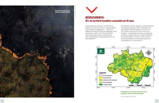 56 57
DESMATAMENTO:
10% do território brasileiro consumido em 35 anos
O desmatamento consumiu 10% do território
brasileiro nos últimos 35 anos194
, segundo dados
mais recentes do MapBiomas195
. Foram 87,2
milhões de hectares de áreas de vegetação nativa
destruídos de 1985 a 2019. Mais da metade
dessa destruição aconteceu na Amazônia,
onde a agropecuária é responsável por 80% do
desmatamento196
.
E a tendência é de alta. Segundo o Instituto Nacional
de Pesquisas Espaciais (Inpe), o desmatamento
na Amazônia brasileira superou 10 mil km² em
2019, 34,4% a mais que em 2018 e recorde na
década197
. E a devastação continua se acelerando
em 2020: a previsão é de que o sistema Prodes de
2019/2020 indique 12 mil km² ou até 15 mil km²
de área desmatada, um aumento de até 50% na
comparação com o ano anterior198
.
Desmatamento na Amazônia avança sobre áreas
protegidas e ameaça Territórios Indígenas.
(Fontes: ver Referências na página 87)
Foto:
Bruno
Kelly/Amazônia
Real
Queimada meio a área de floresta
próxima à Porto Velho, Rondônia.
 