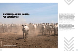 14 15
Este relatório identificou três setores principais que
têm liderado os conflitos com Povos Indígenas na
Amazônia brasileira nos últimos anos: mineração,
agronegócio e energia. Esses conflitos decorrem da
exploração de Terras Indígenas pelo setor privado,
em que em muitos casos as empresas ignoram
os ataques diretos a essas terras por grileiros e
outros atores locais, bem como sistematicamente
desrespeitam as leis que protegem os territórios
e os direitos indígenas, especialmente, o direito à
Consulta Livre, Prévia e Informada14
.
A partir do estudo de casos de cada setor,
identificamos as principais empresas envolvidas,
direta ou diretamente, em situações envolvendo
conflitos de terras ou violações de direitos
socioambientais e indígenas na Amazônia brasileira
nos últimos anos, que possuem relação com
compradores e/ou investidores internacionais,
como detalhamos a seguir.
A DESTRUIÇÃO IMPULSIONADA
POR COMMODITIES
Foto:
Tommaso
Protti/Greenpeace
Fazenda de gado no município de Marabá, sul do Pará. A
pecuária é a maior causa do desmatamento na Amazônia.
 