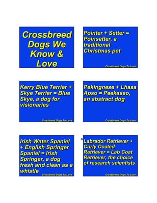 Pointer + Setter =
 Crossbreed                            Poinsetter, a
  Dogs We                              traditional
                                       Christmas pet
  Know &
    Love                                               Crossbreed Dogs To Love
                                                       Crossbreed Dogs To Love




Kerry Blue Terrier +                   Pekingnese + Lhasa
Skye Terrier = Blue                    Apso = Peekasso,
Skye, a dog for                        an abstract dog
visionaries

            Crossbreed Dogs To Love
            Crossbreed Dogs To Love                    Crossbreed Dogs To Love
                                                       Crossbreed Dogs To Love




           Page 1                     Cumulative Funnies 2
Irish Water Spaniel                    Labrador Retriever +
+ English Springer                     Curly Coated
Spaniel = Irish                        Retriever = Lab Coat
Springer, a dog                        Retriever, the choice
fresh and clean as a                   of research scientists
whistle Crossbreed Dogs To Love                        Crossbreed Dogs To Love
        Crossbreed Dogs To Love                        Crossbreed Dogs To Love
 