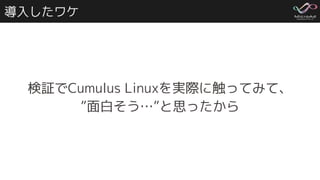 導入したワケ
検証でCumulus Linuxを実際に触ってみて、
”面白そう…”と思ったから
 