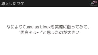 導入したワケ
なによりCumulus Linuxを実際に触ってみて、
”面白そう…”と思ったのが大きい
 