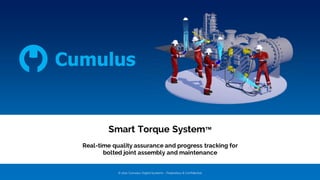 Smart Torque System™
Real-time quality assurance and progress tracking for
bolted joint assembly and maintenance
© 2021 Cumulus DigitalSystems – Proprietary & Confidential
 