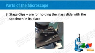 Parts of the Microscope 
8. Stage Clips – are for holding the glass slide with the 
specimen in its place 
 