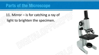 Parts of the Microscope 
11. Mirror – is for catching a ray of 
light to brighten the specimen. 
 