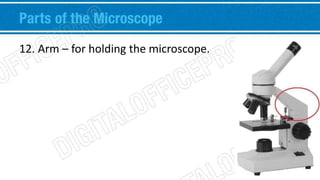 Parts of the Microscope 
12. Arm – for holding the microscope. 
 