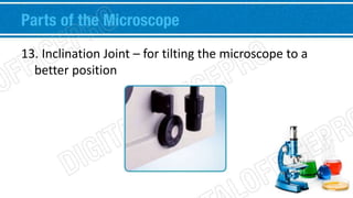 Parts of the Microscope 
13. Inclination Joint – for tilting the microscope to a 
better position 
 