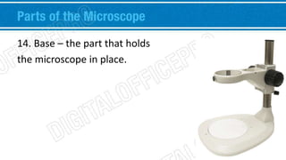 Parts of the Microscope 
14. Base – the part that holds 
the microscope in place. 

