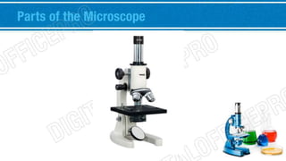 Parts of the Microscope 
 