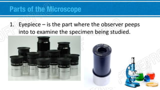 Parts of the Microscope 
1. Eyepiece – is the part where the observer peeps 
into to examine the specimen being studied. 
 