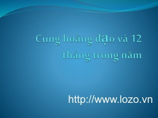 http://www.lozo.vn
 