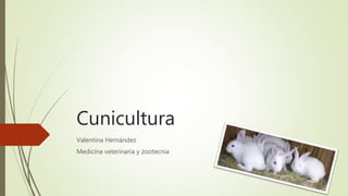 Cunicultura
Valentina Hernández
Medicina veterinaria y zootecnia
 