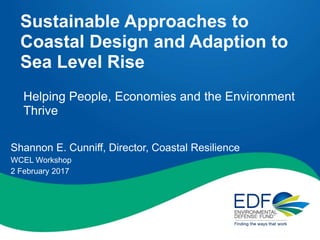 Sustainable Approaches to
Coastal Design and Adaption to
Sea Level Rise
Shannon E. Cunniff, Director, Coastal Resilience
WCEL Workshop
2 February 2017
Helping People, Economies and the Environment
Thrive
 