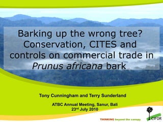 Barking up the wrong tree?
Conservation, CITES and
controls on commercial trade in
Prunus africana bark
Tony Cunningham and Terry Sunderland	

ATBC Annual Meeting, Sanur, Bali
23rd July 2010
THINKING beyond the canopy
THINKING beyond the canopy

 