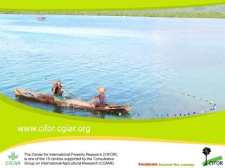 www.cifor.cgiar.org
The Center for International Forestry Research (CIFOR)
is one of the 15 centres supported by the Consu...